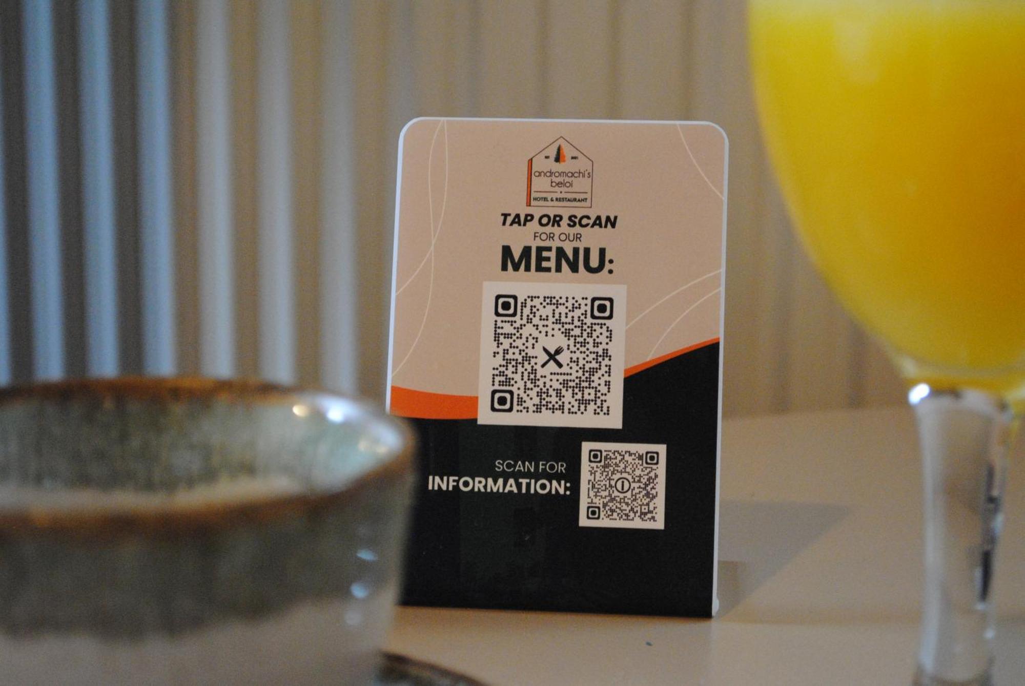 Andromachi'S Beloi Hotel Vitsa Eksteriør billede