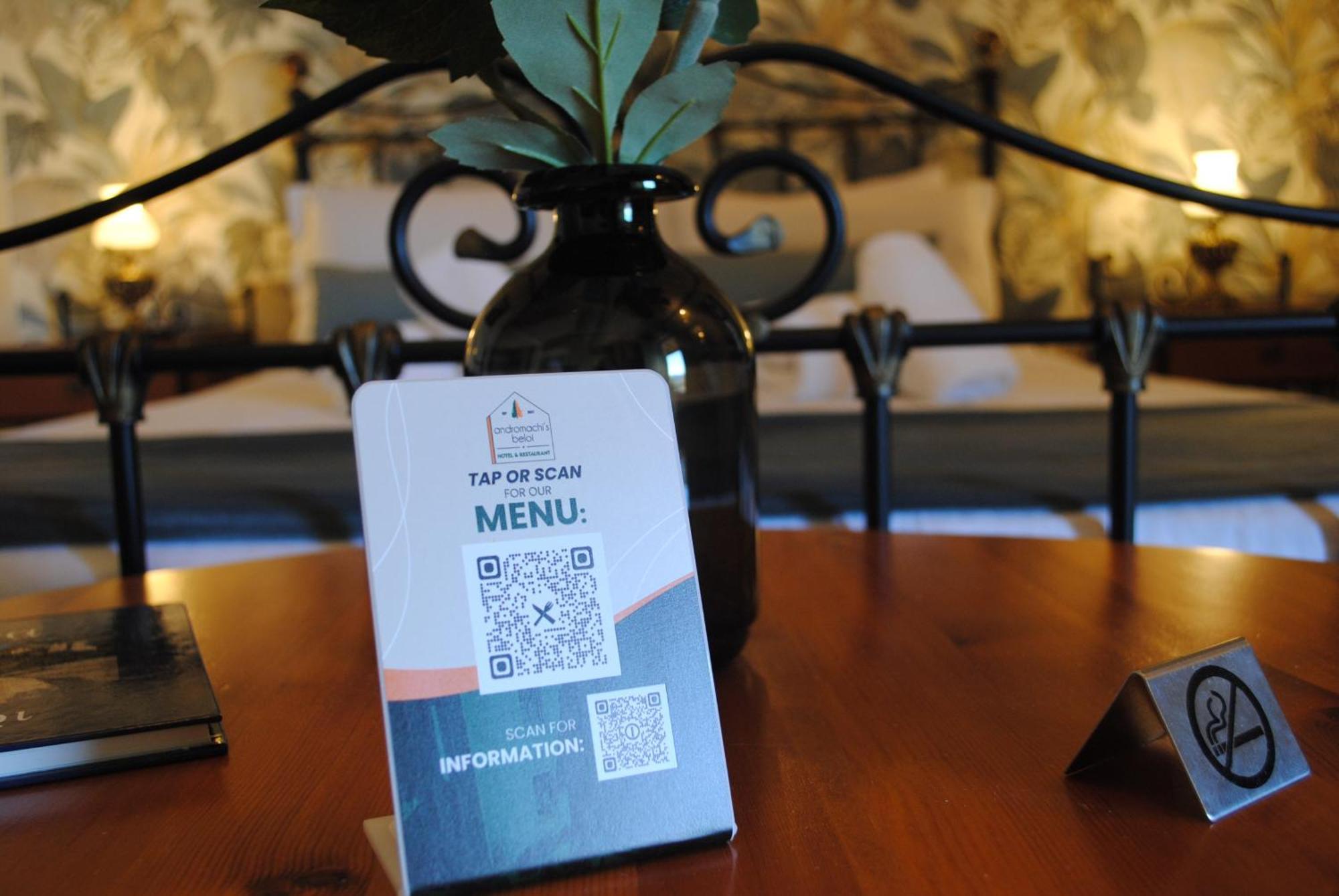 Andromachi'S Beloi Hotel Vitsa Eksteriør billede