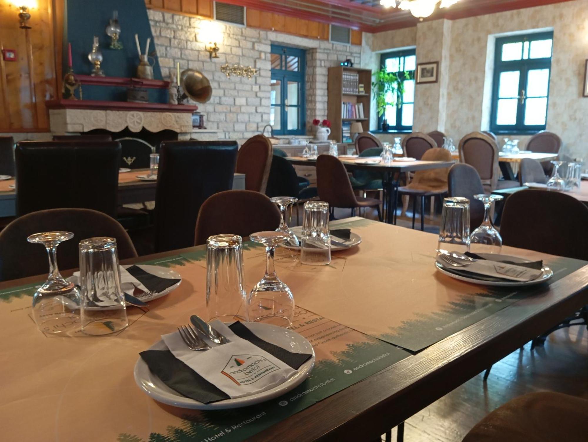 Andromachi'S Beloi Hotel Vitsa Eksteriør billede